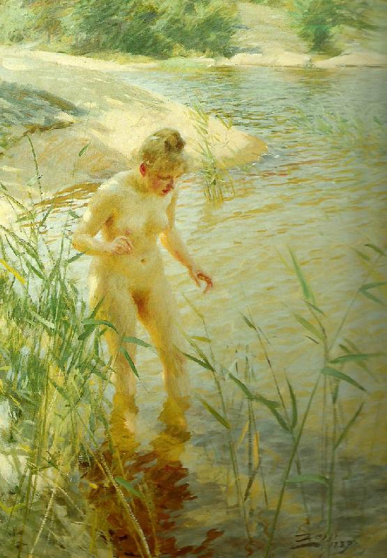 Anders Zorn reflexer China oil painting art
